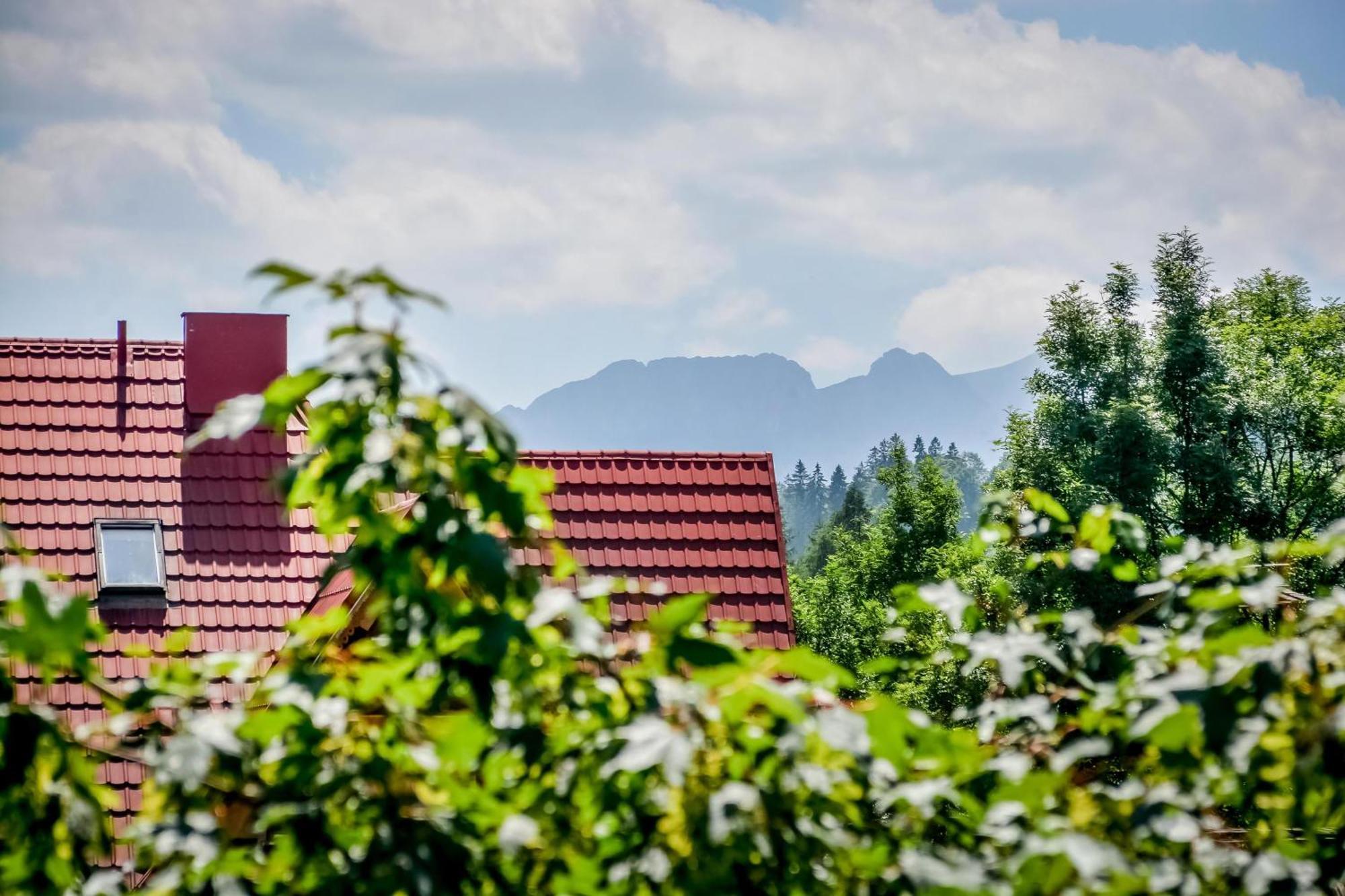 Willa Goralska Biały Dunajec Exterior foto